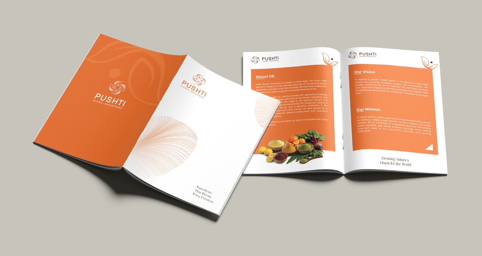 Pushti Global Enterprise Brochure Deisgn